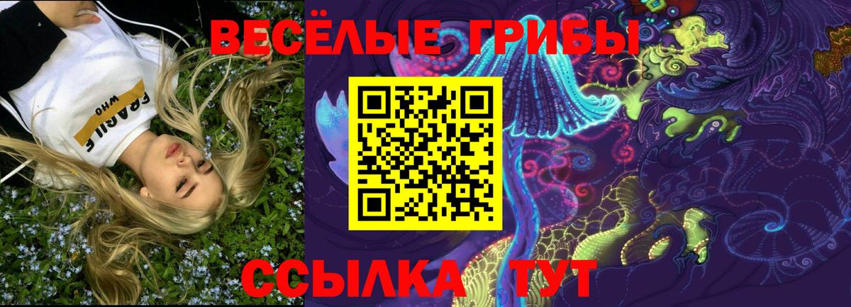 где найти наркотики  Вход с VPN  Людиново  Галлюциногенные грибы Psilocybe 